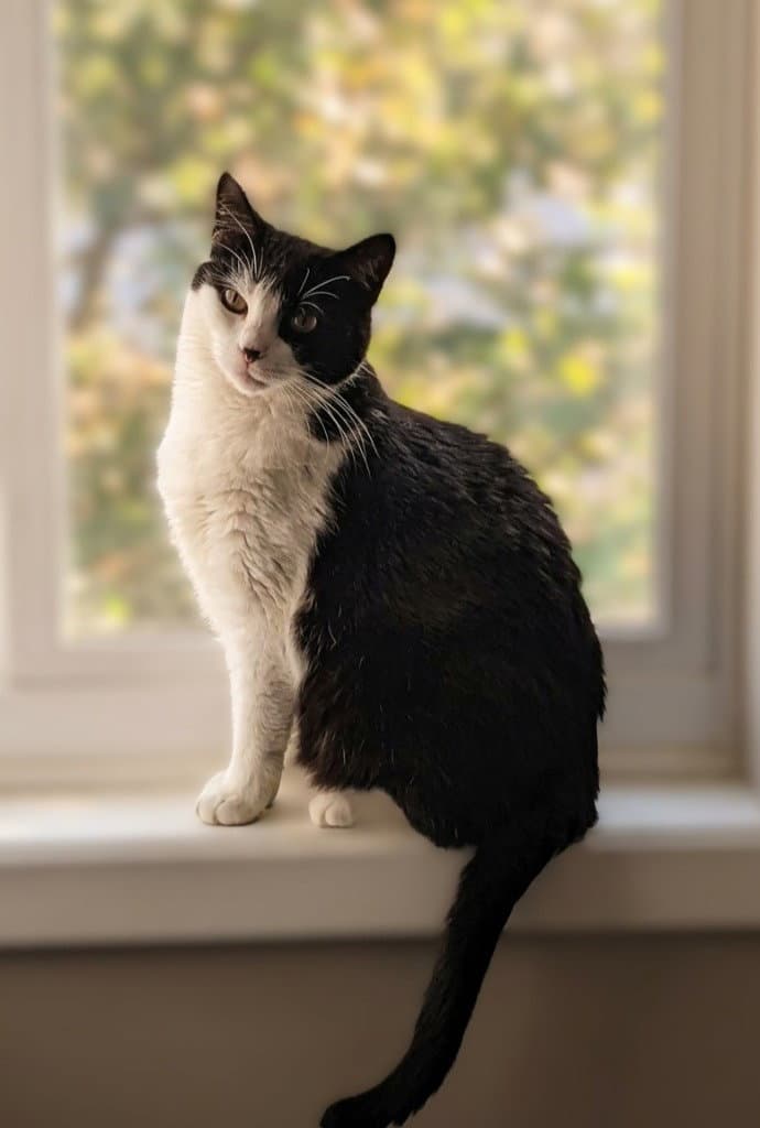 Luna