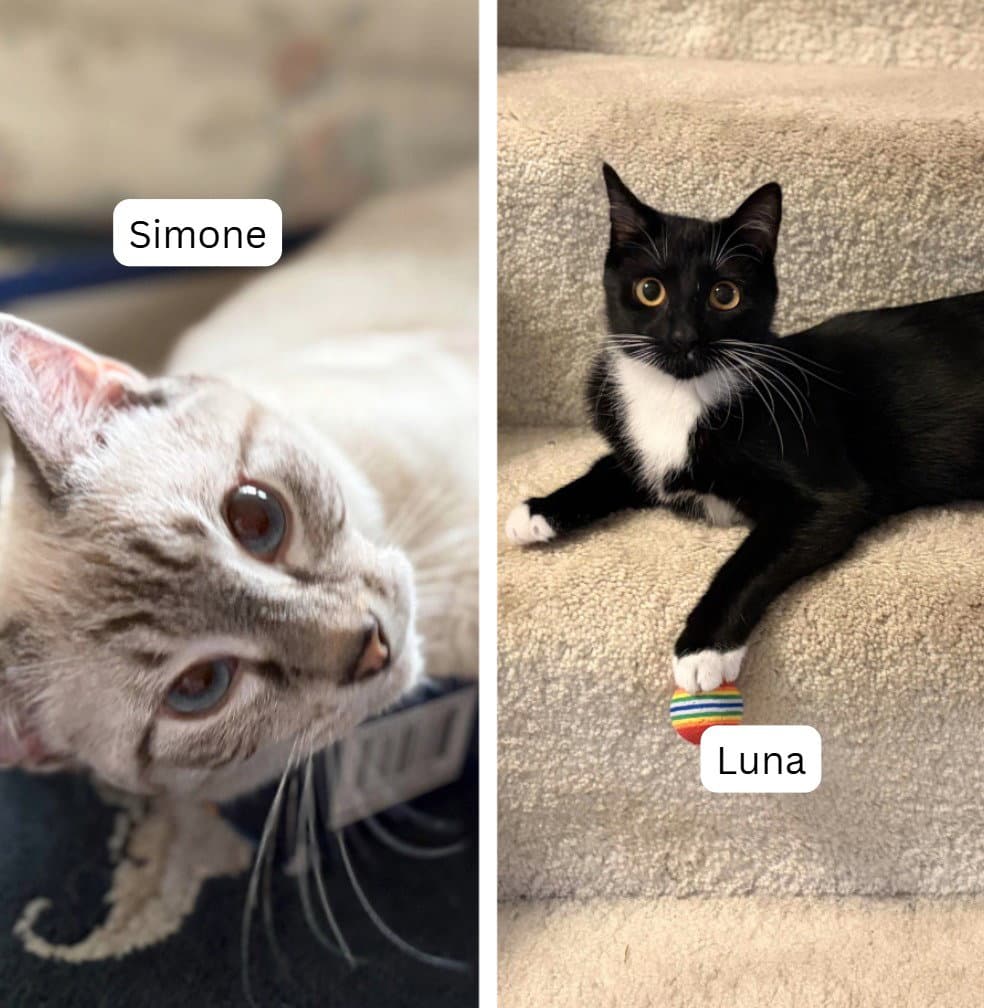 Simone / Luna