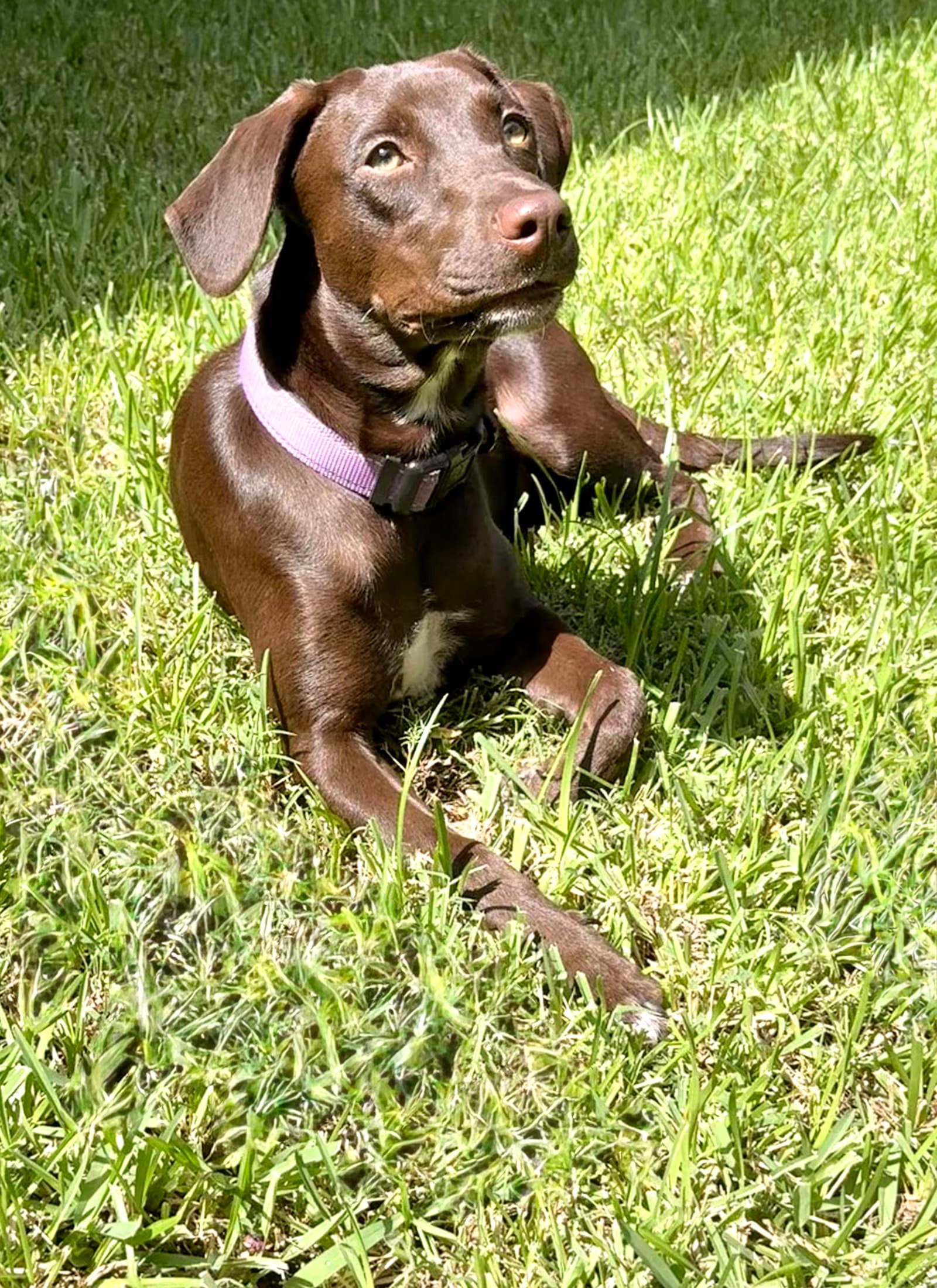 Savannah