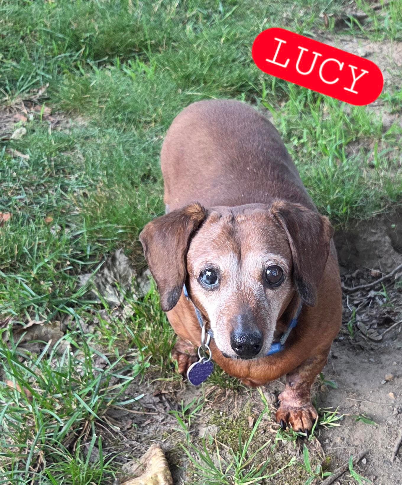 Lucy