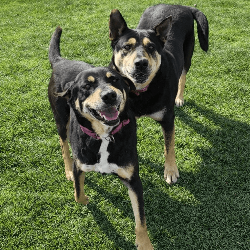 Susie and June Bug