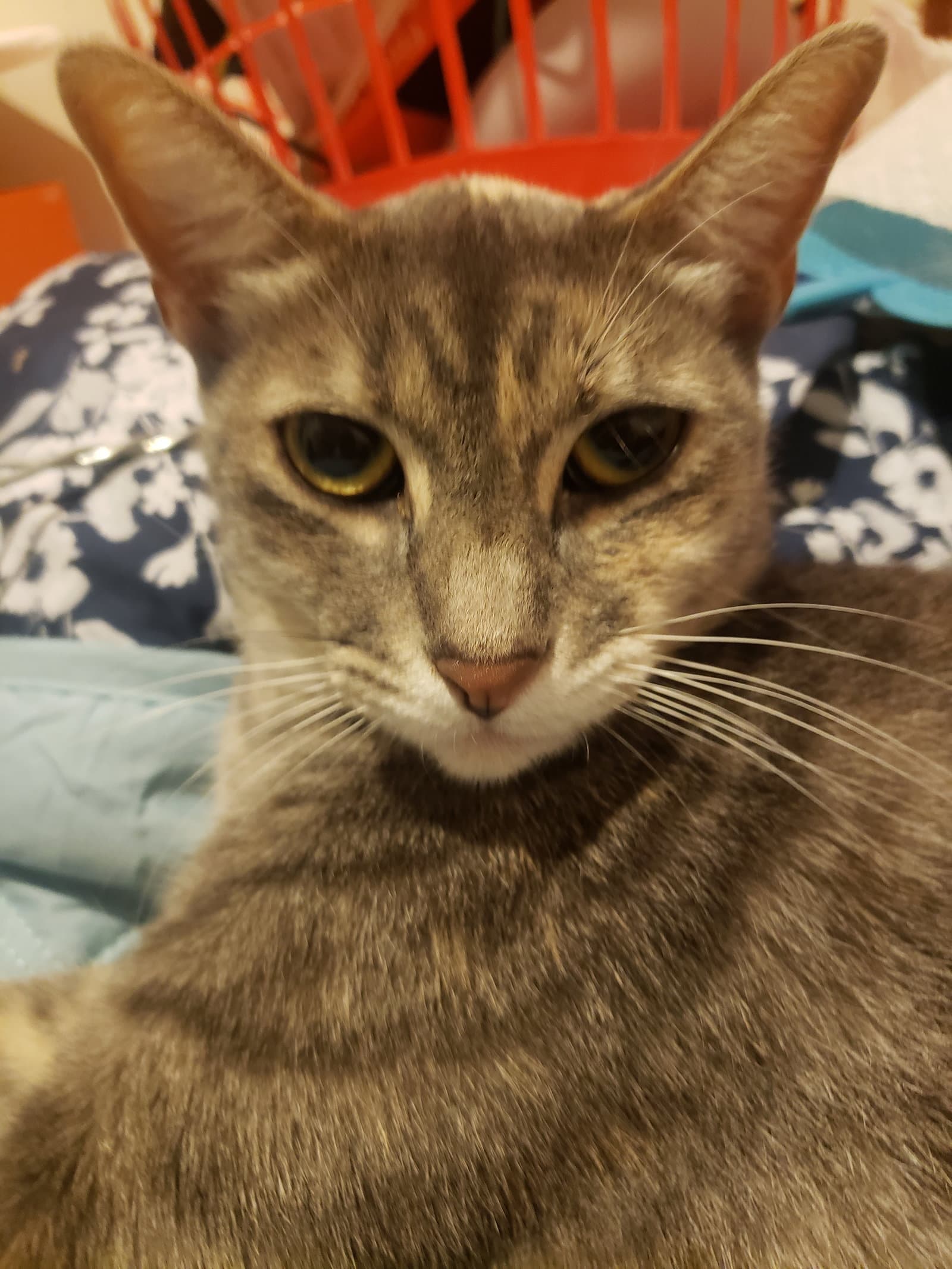 Keanu