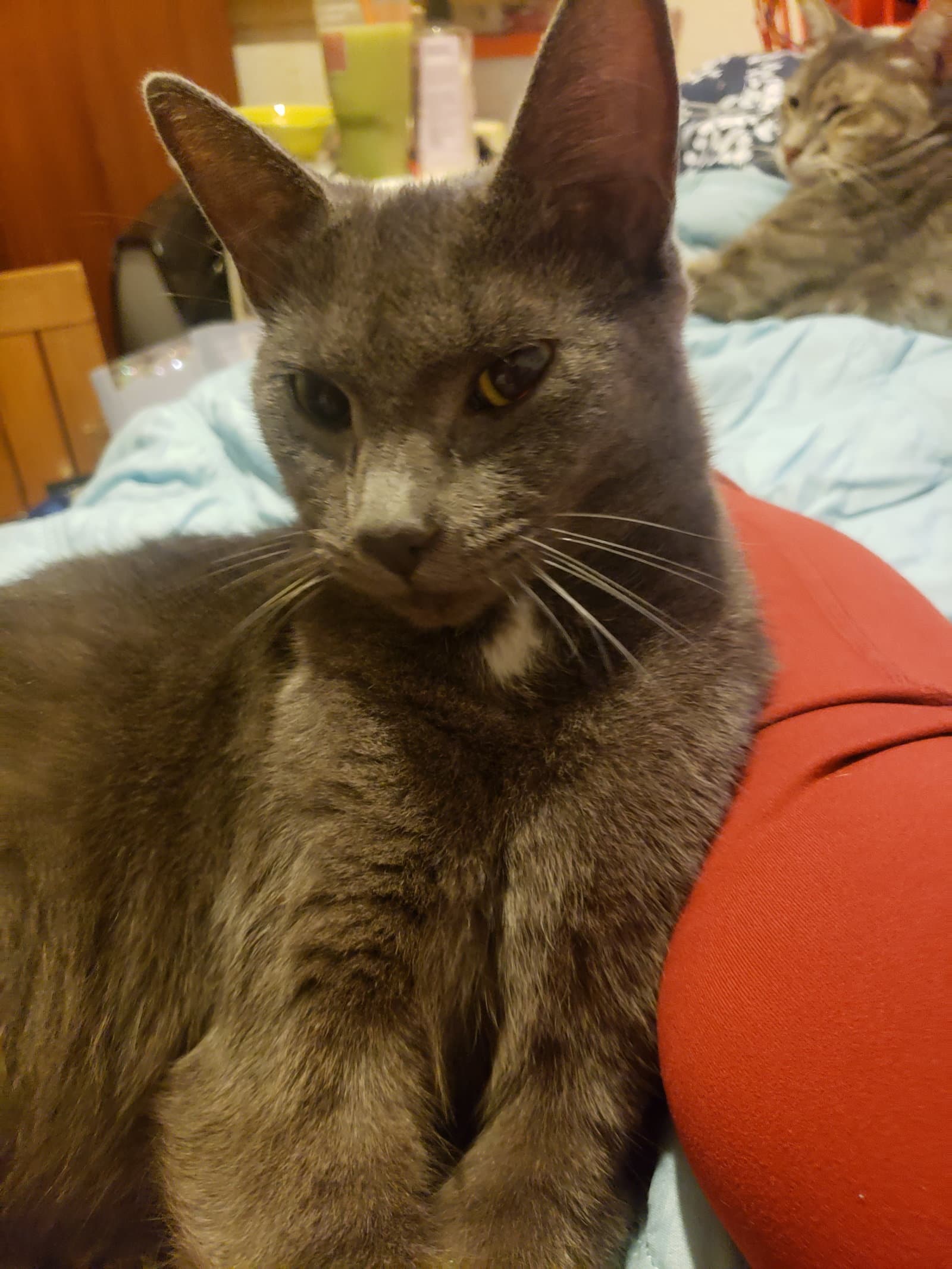Pebbles