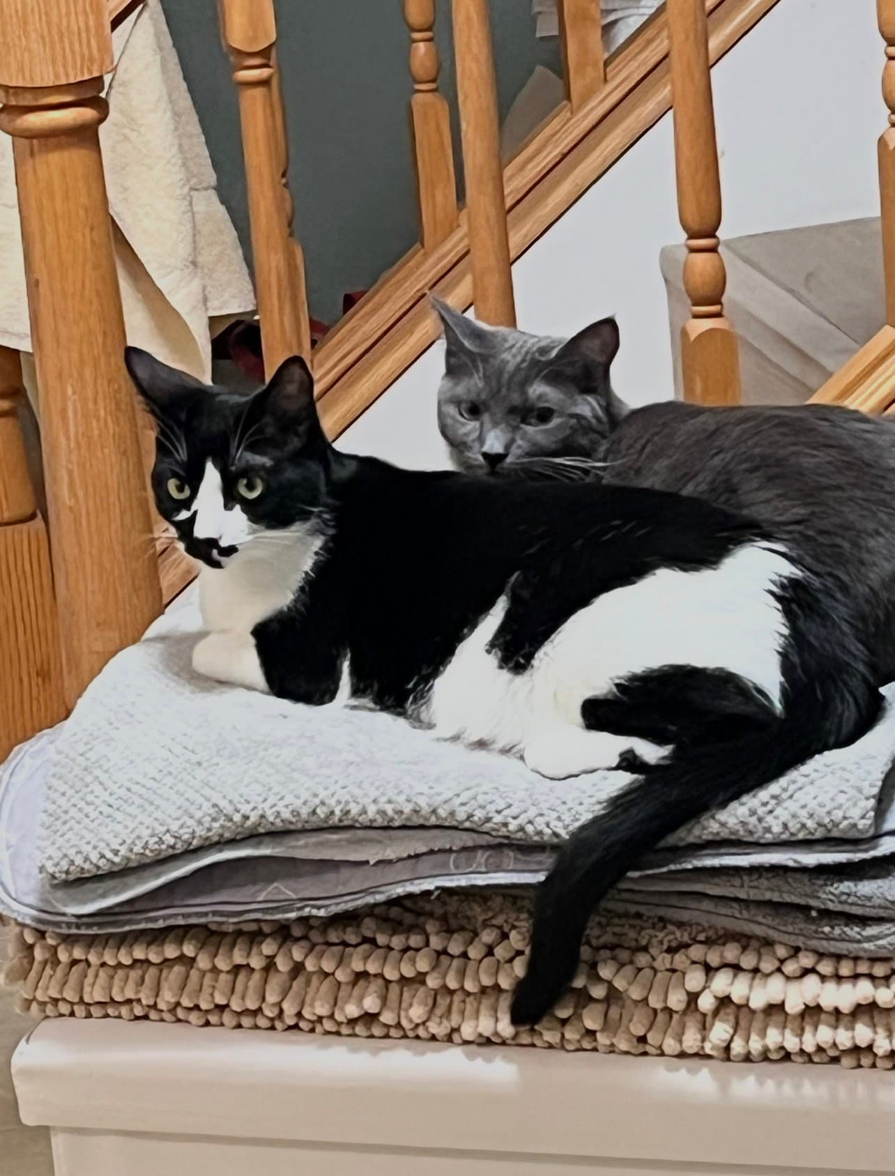 Tahishi and Chelsea