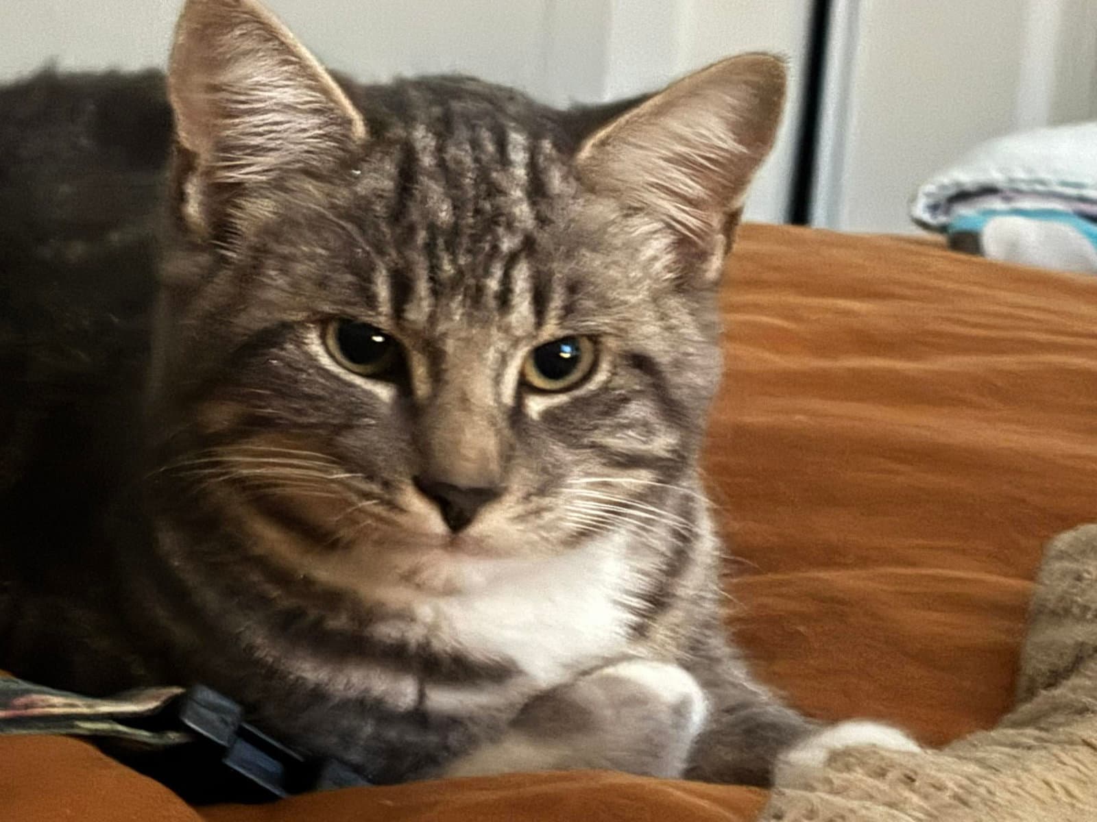 Ralph (and Teddy)