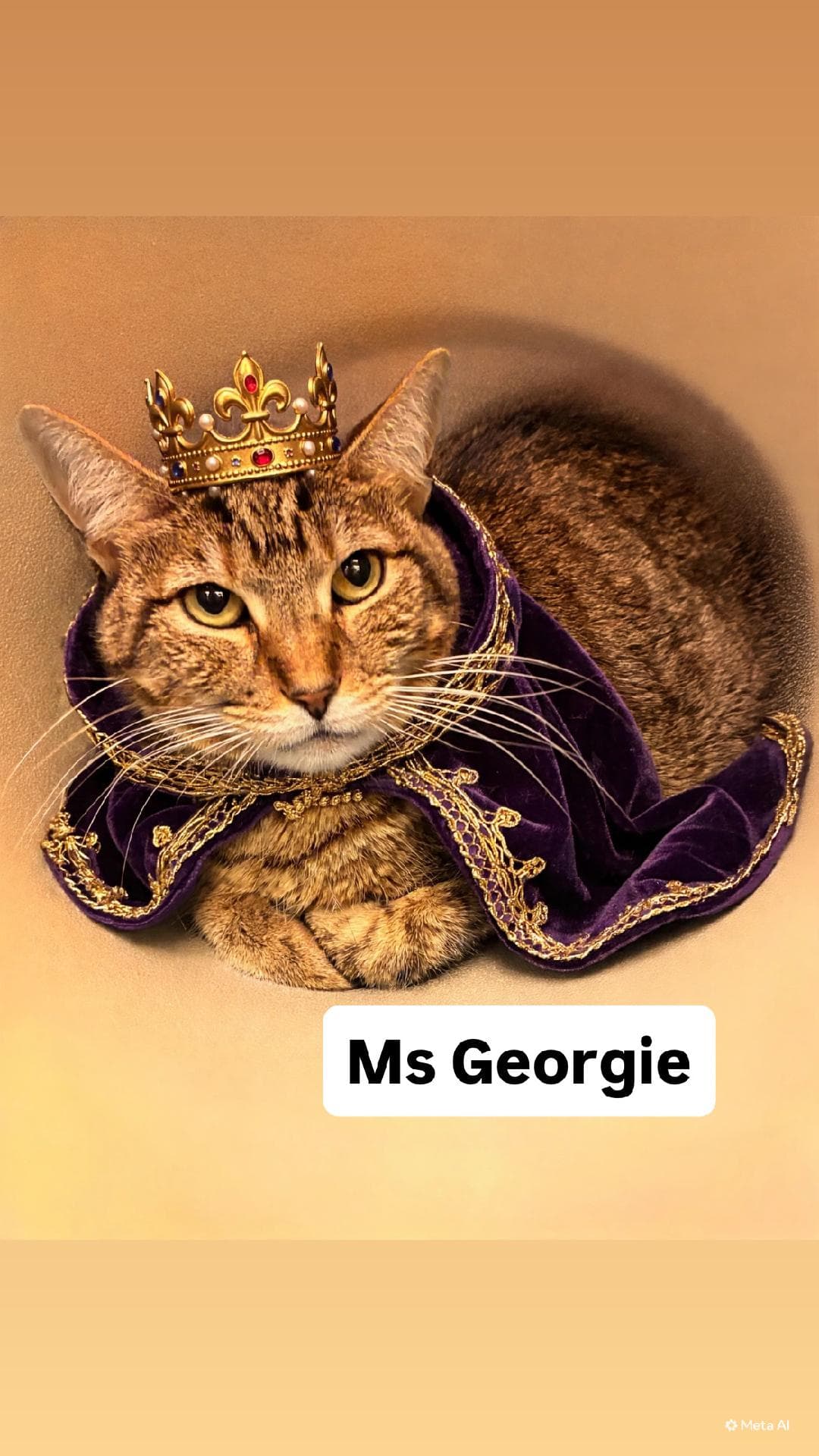 Ms Georgie at Martinez Pet Food Express Oct 10
