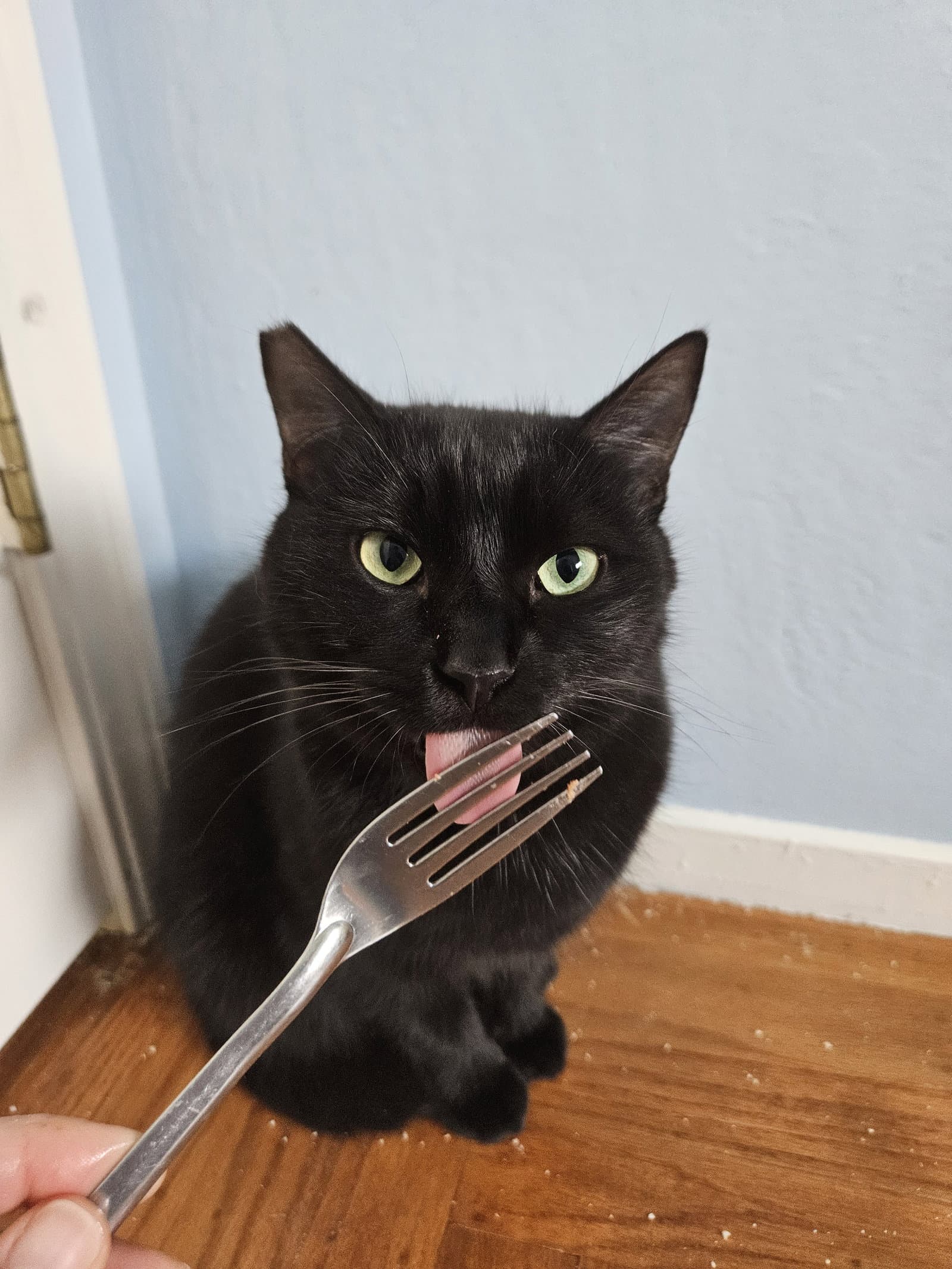 Moon (bonded with Nod)