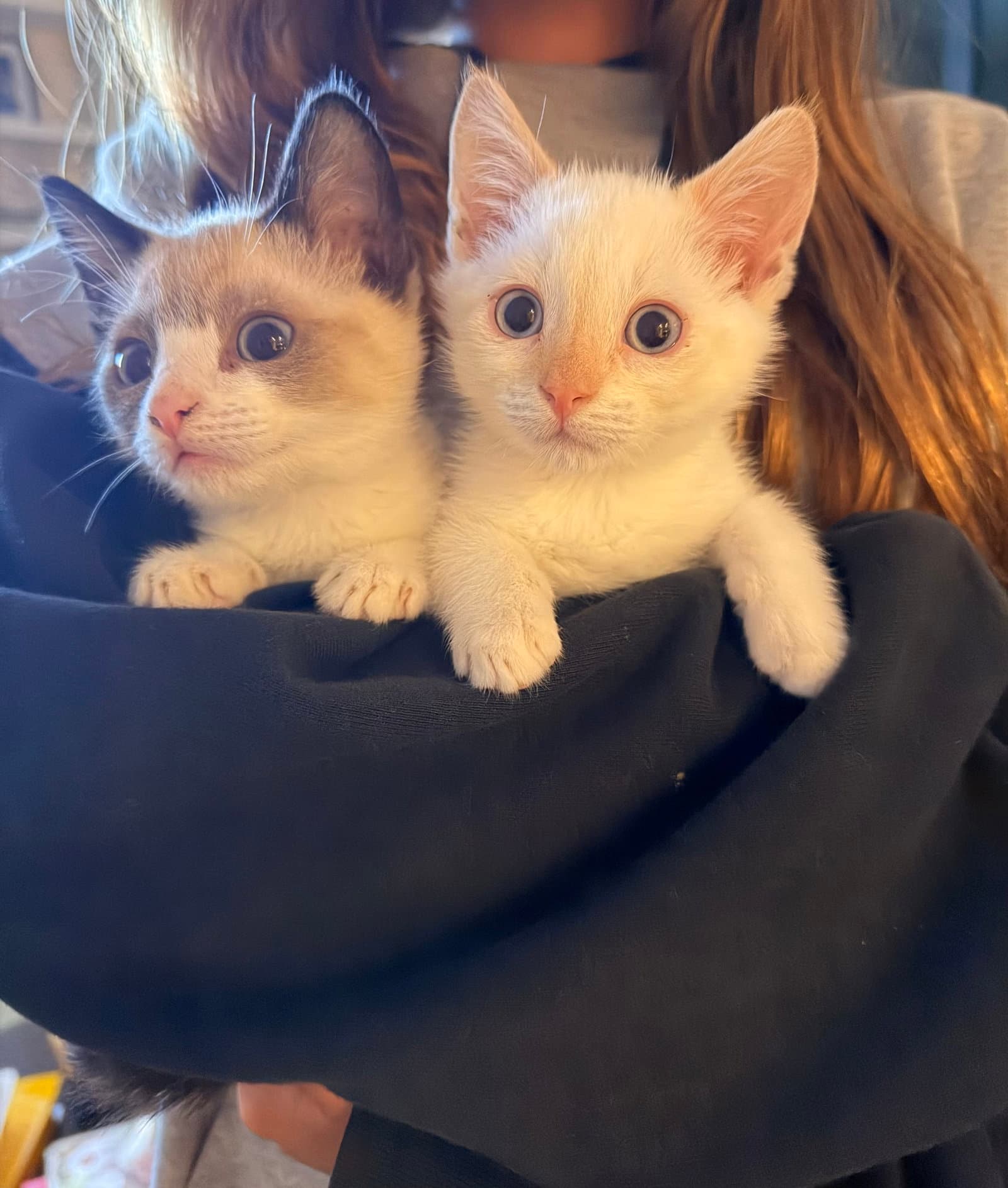 Steve and Reggie