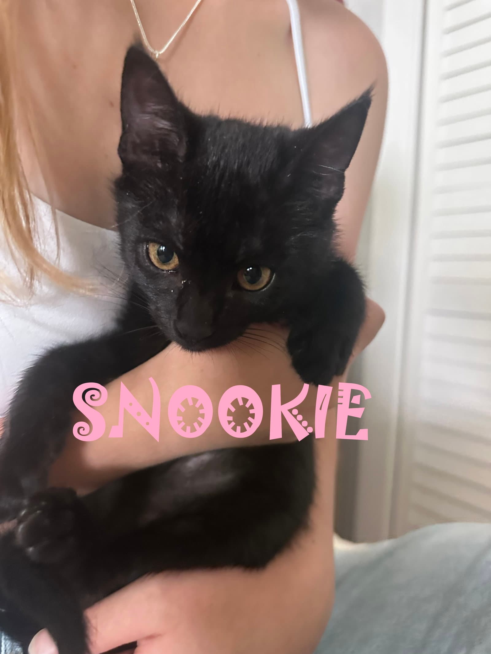 Snookie