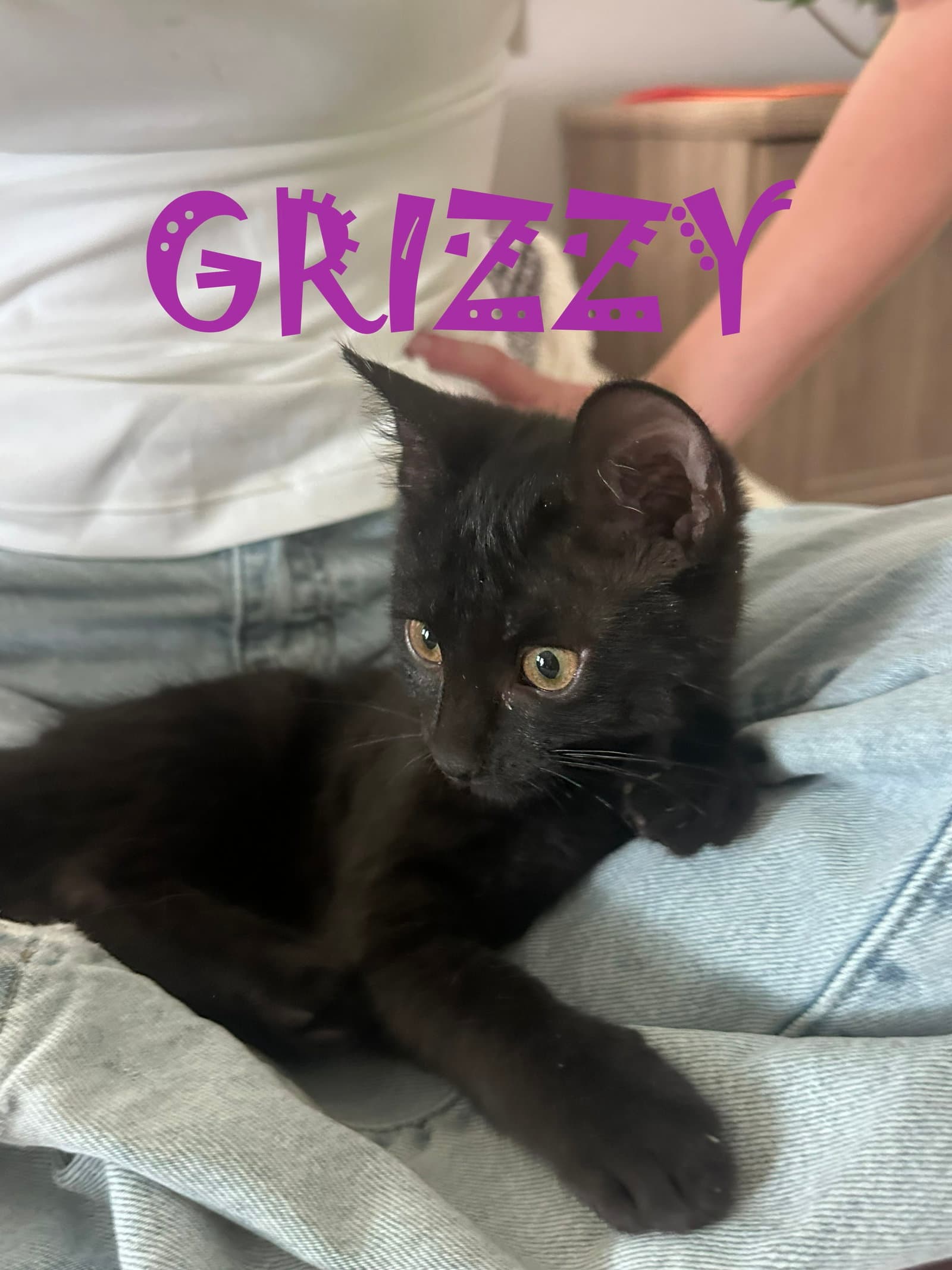Grizzie
