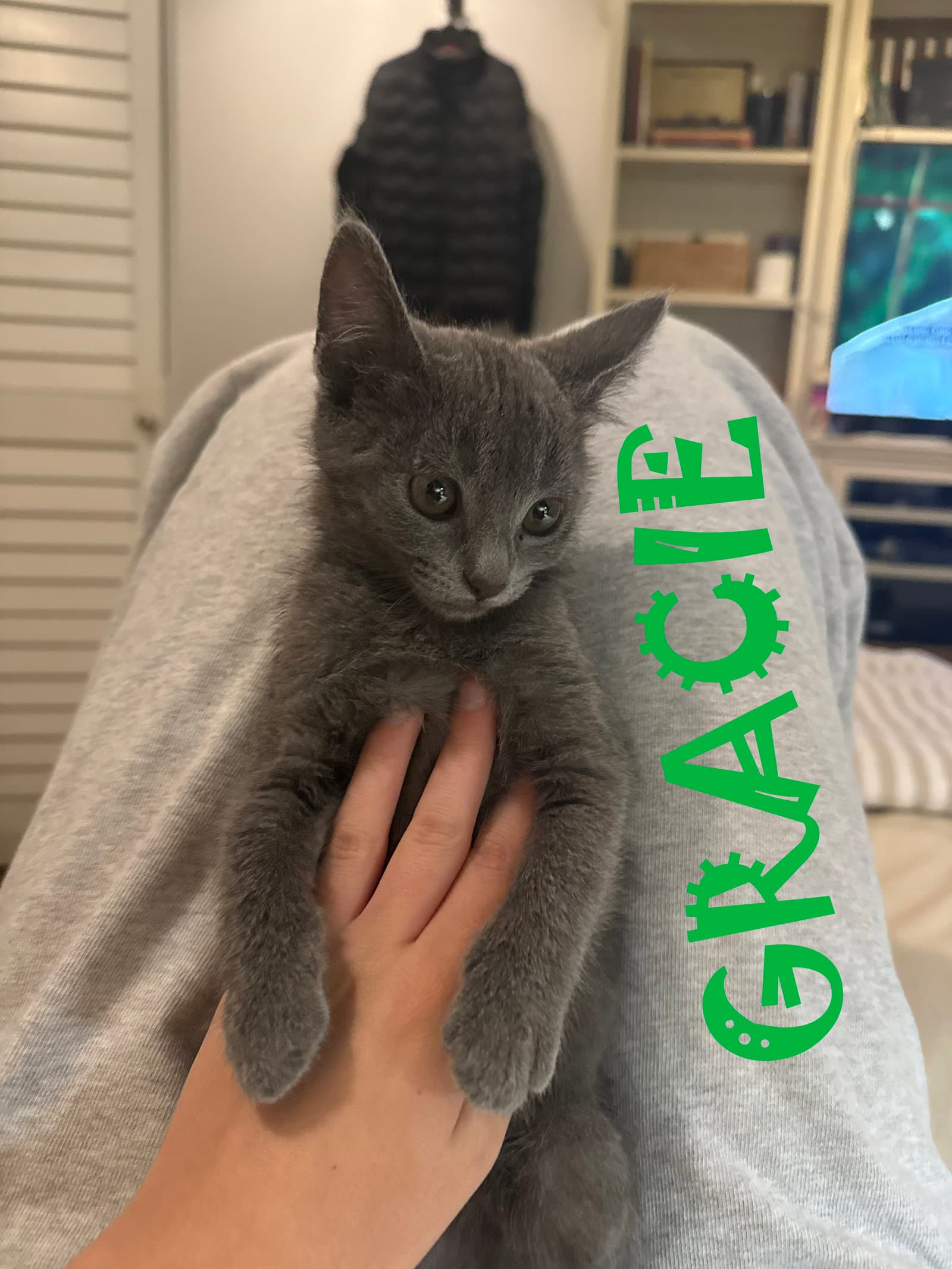 Grayson
