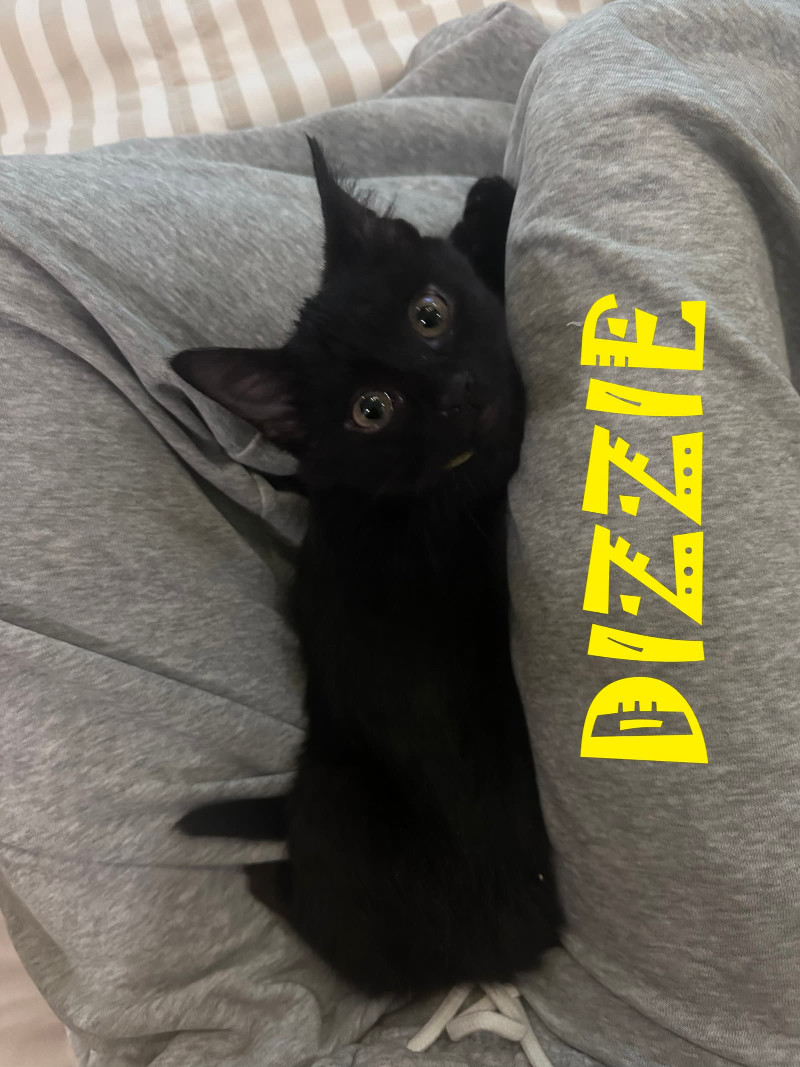 Dizzie