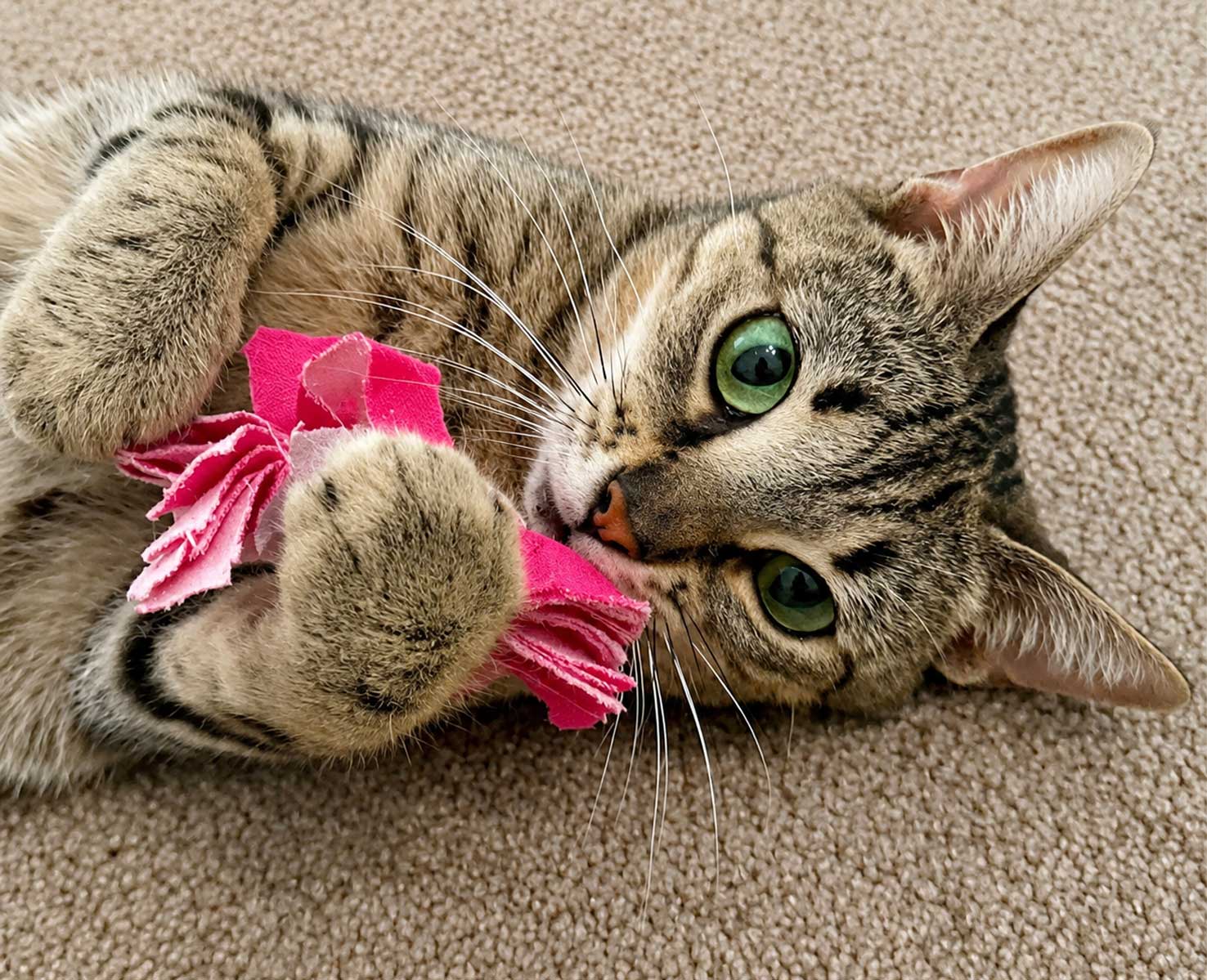 Kiki