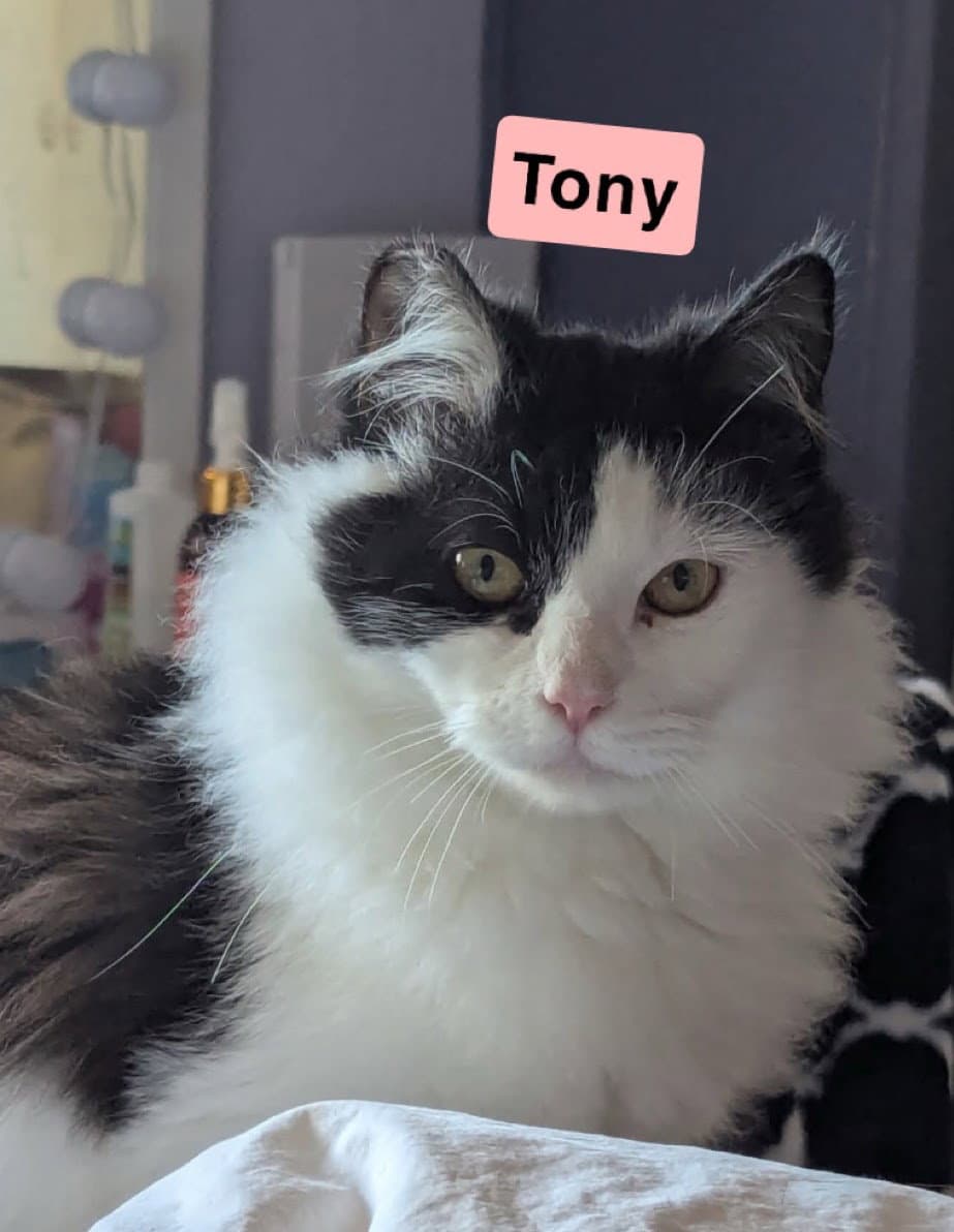 Mittens and Tony