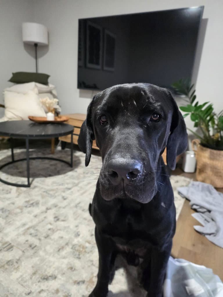 Mr. Bane