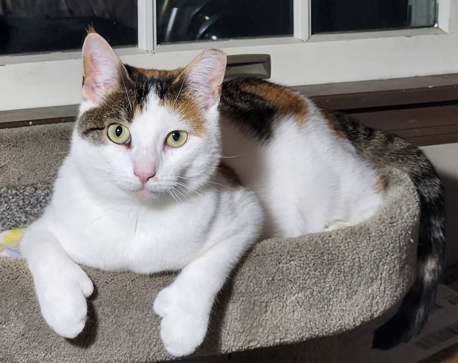 Hera