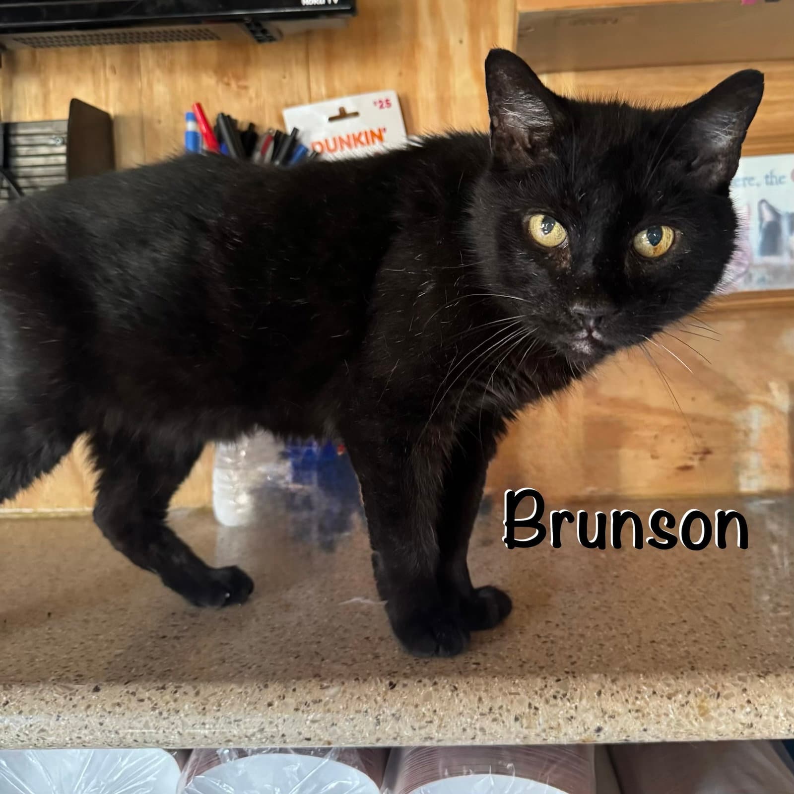 Brunson