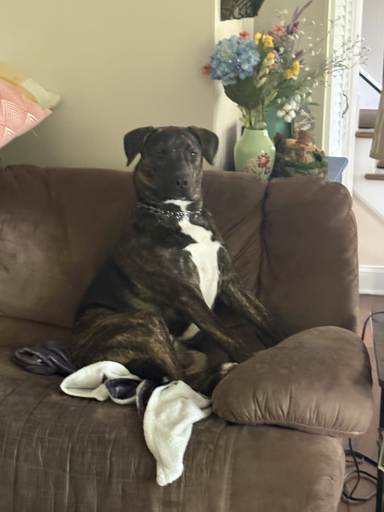 Tucker