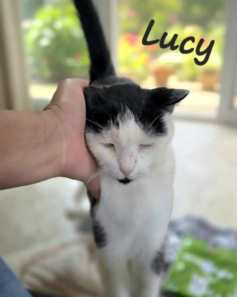Lucy