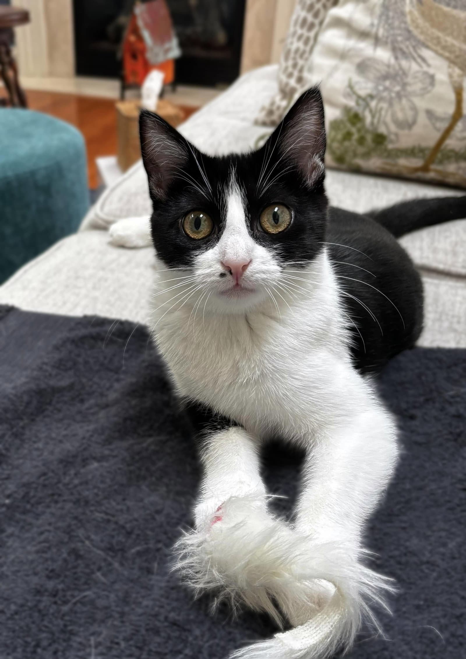 Nini Coco