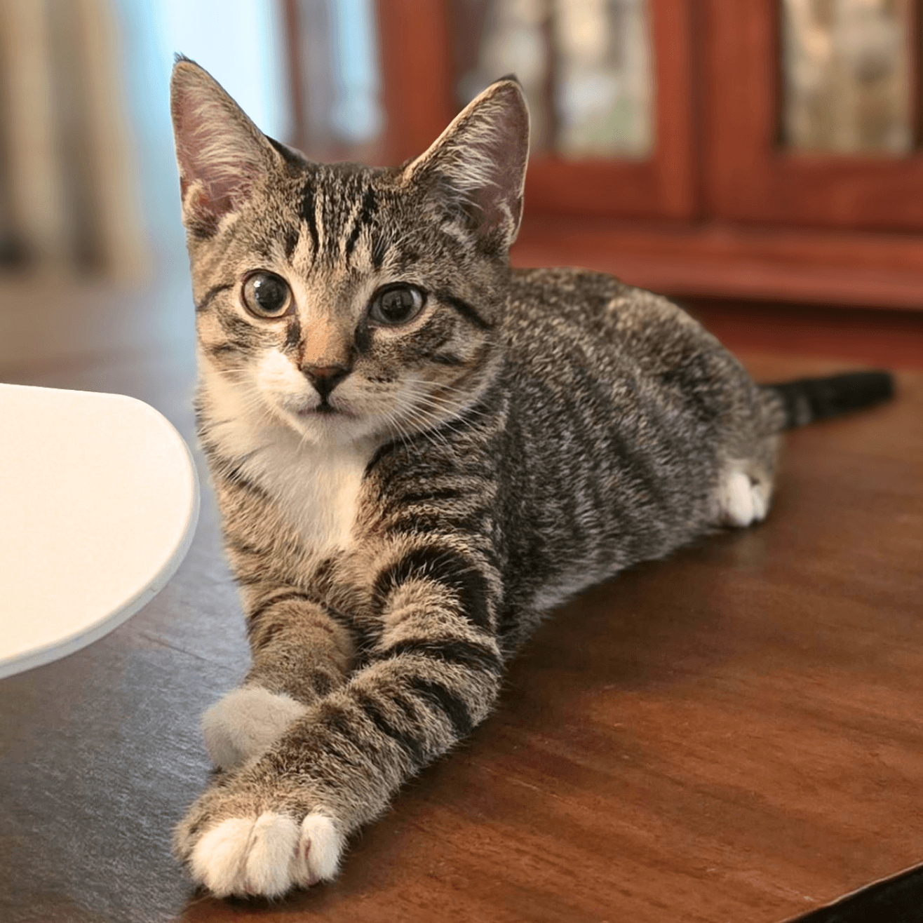 Cubbie