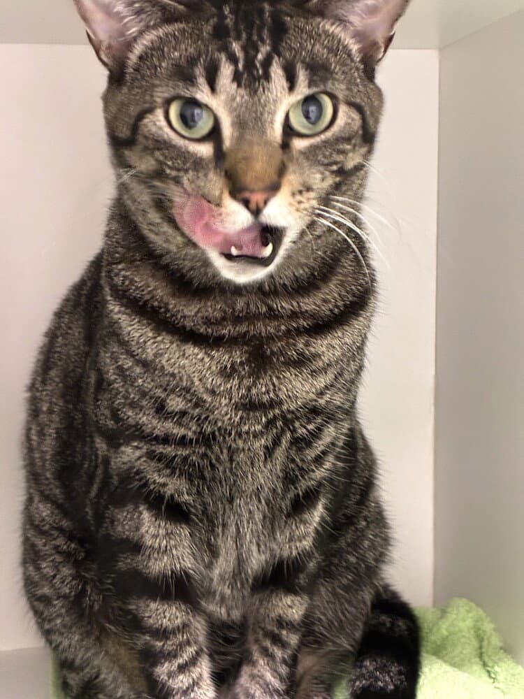 Boris