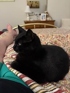 Storm: "My Home to Yours"