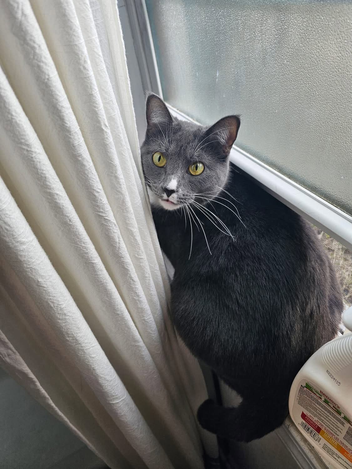 Freya: My Home to Yours: Not at shelter
