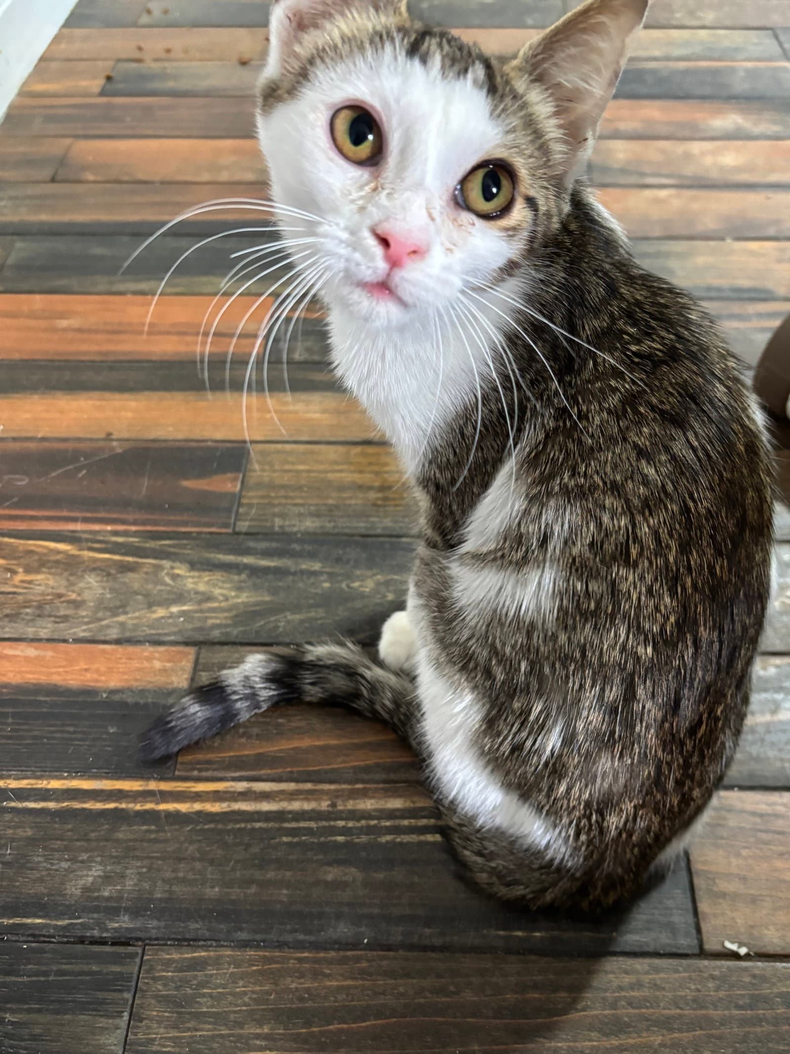Smirnoff - Not at shelter (April)