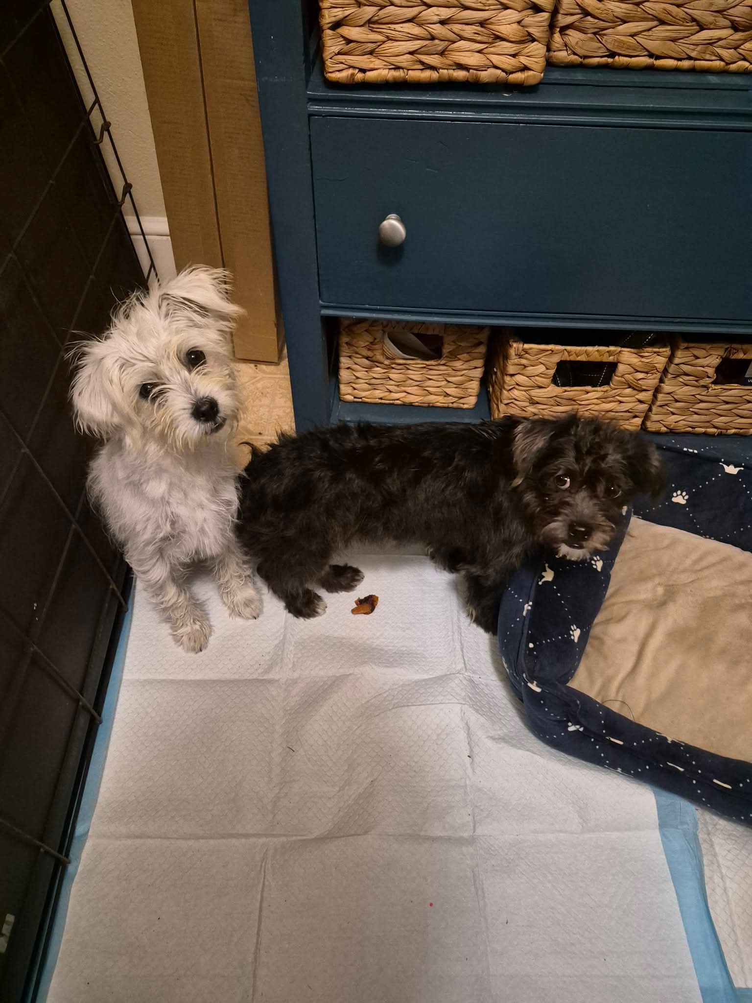 Pastor - Not at shelter (Pam)