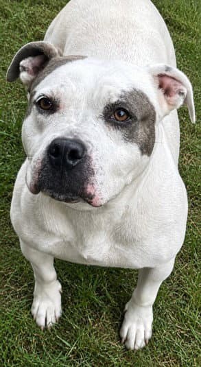 FIONA