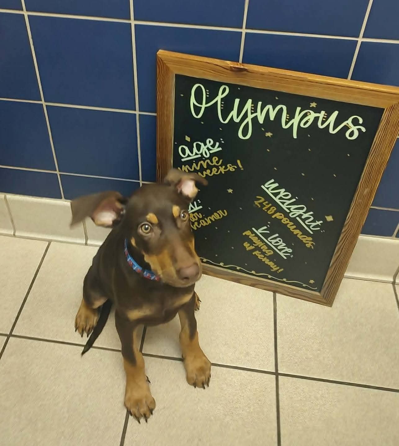 Olympus