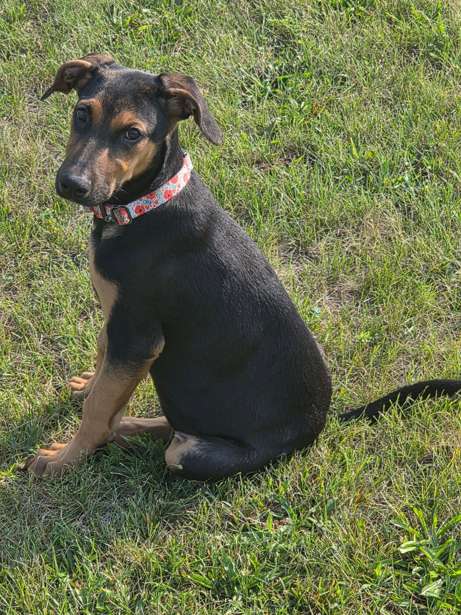 Helen