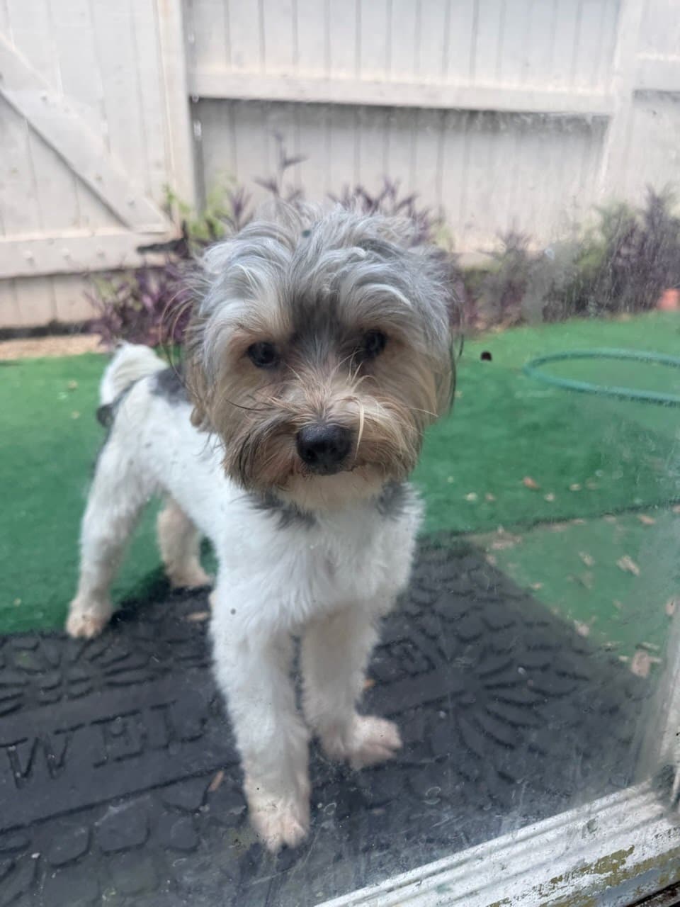 Denzel