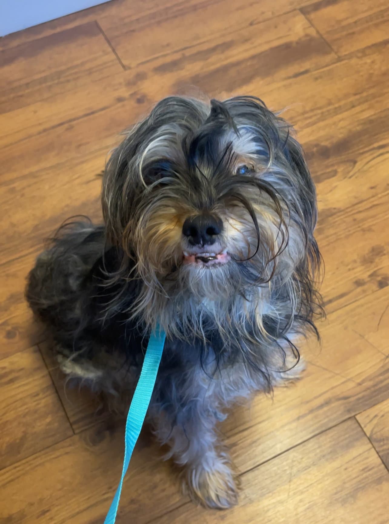 Charlie, Sweet, Sweet Grateful Boy