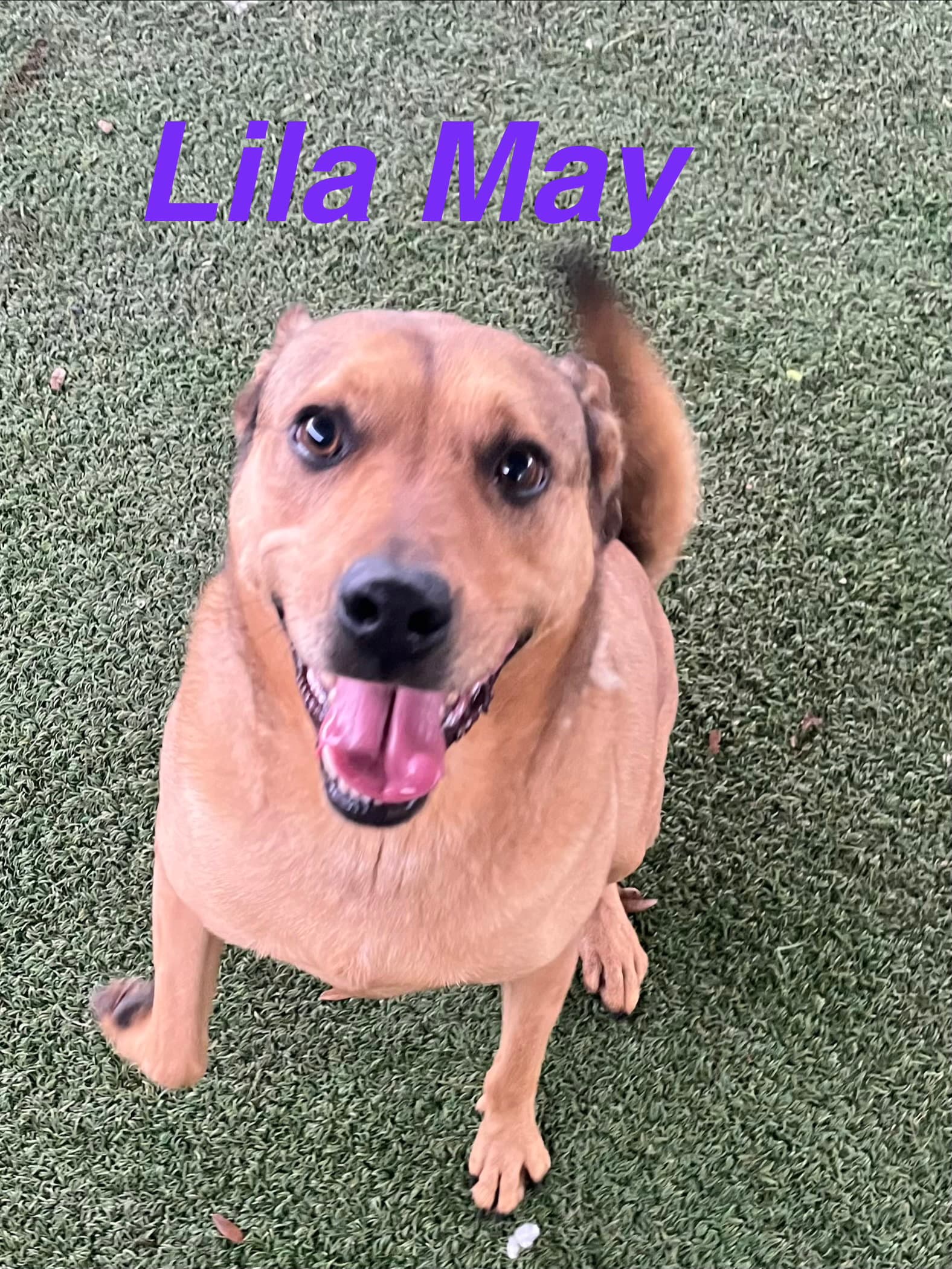 Lila Mae
