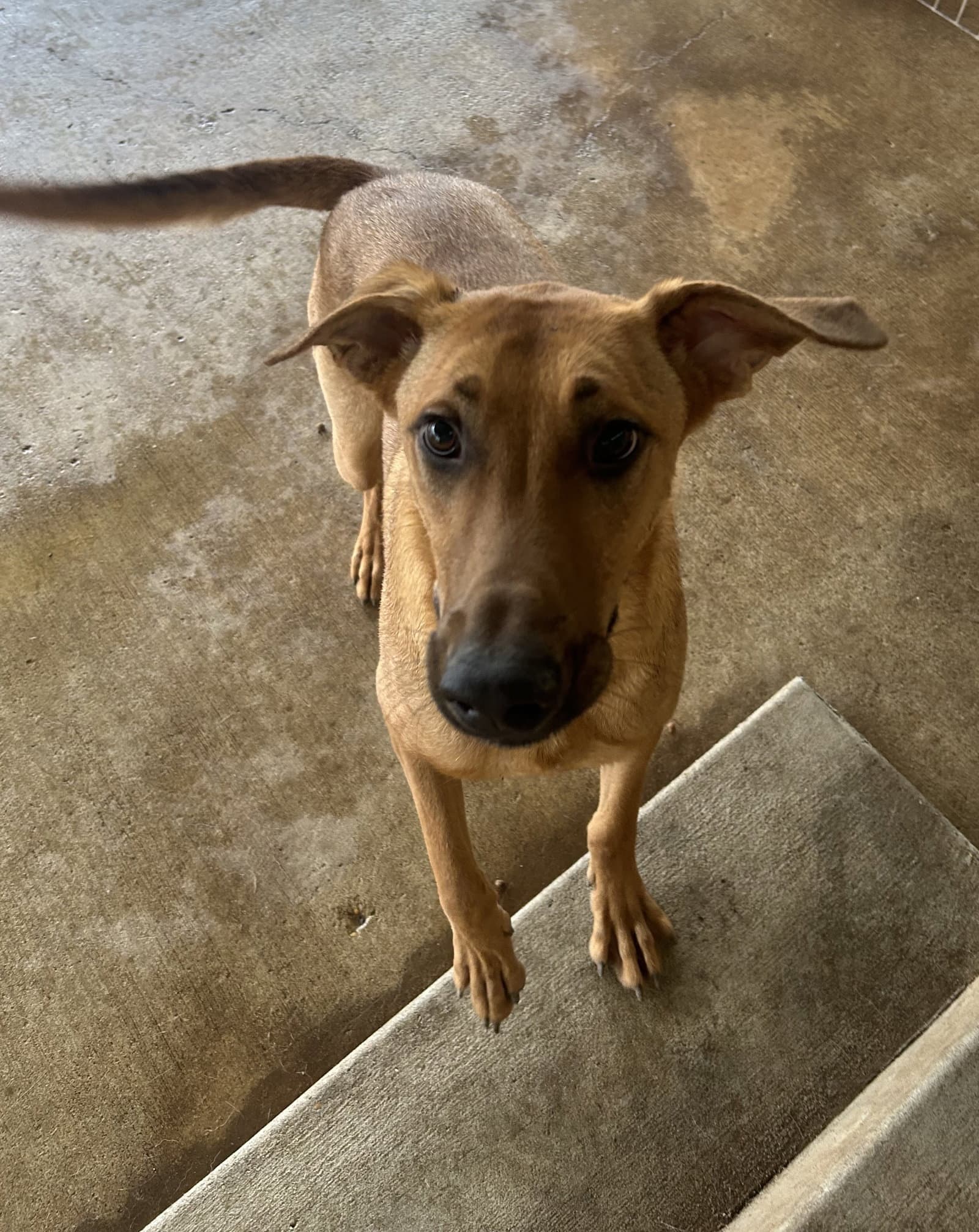 Axel