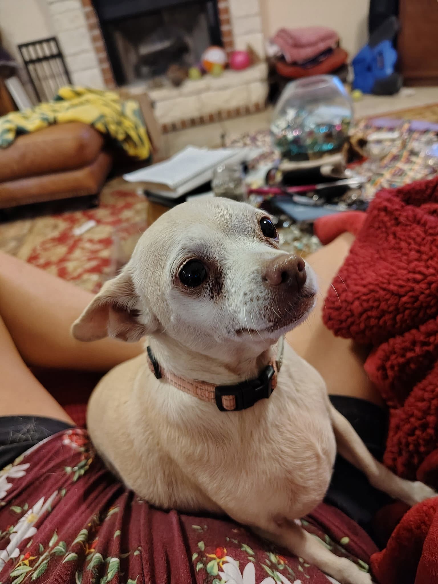 Maggie