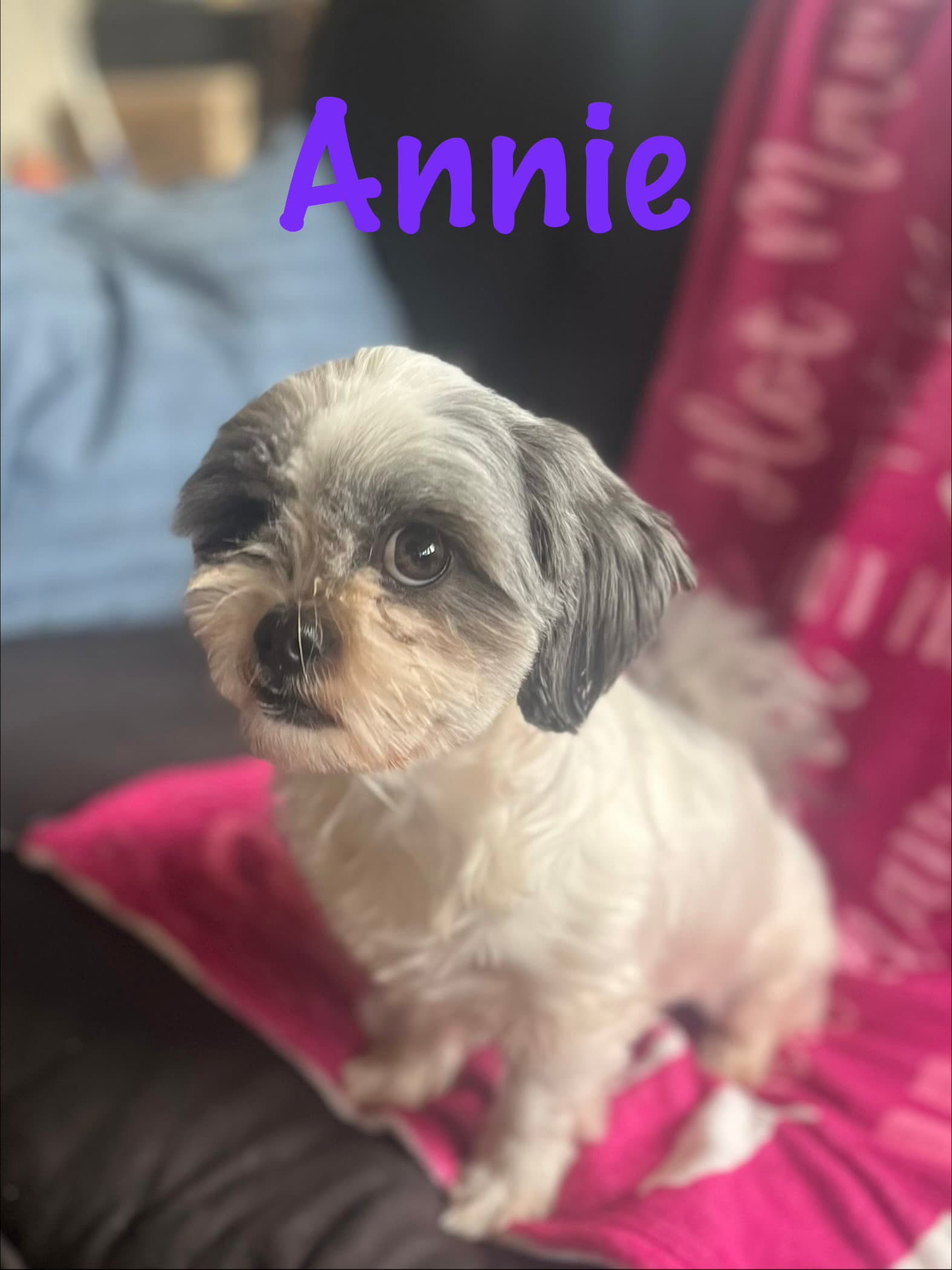 Annie