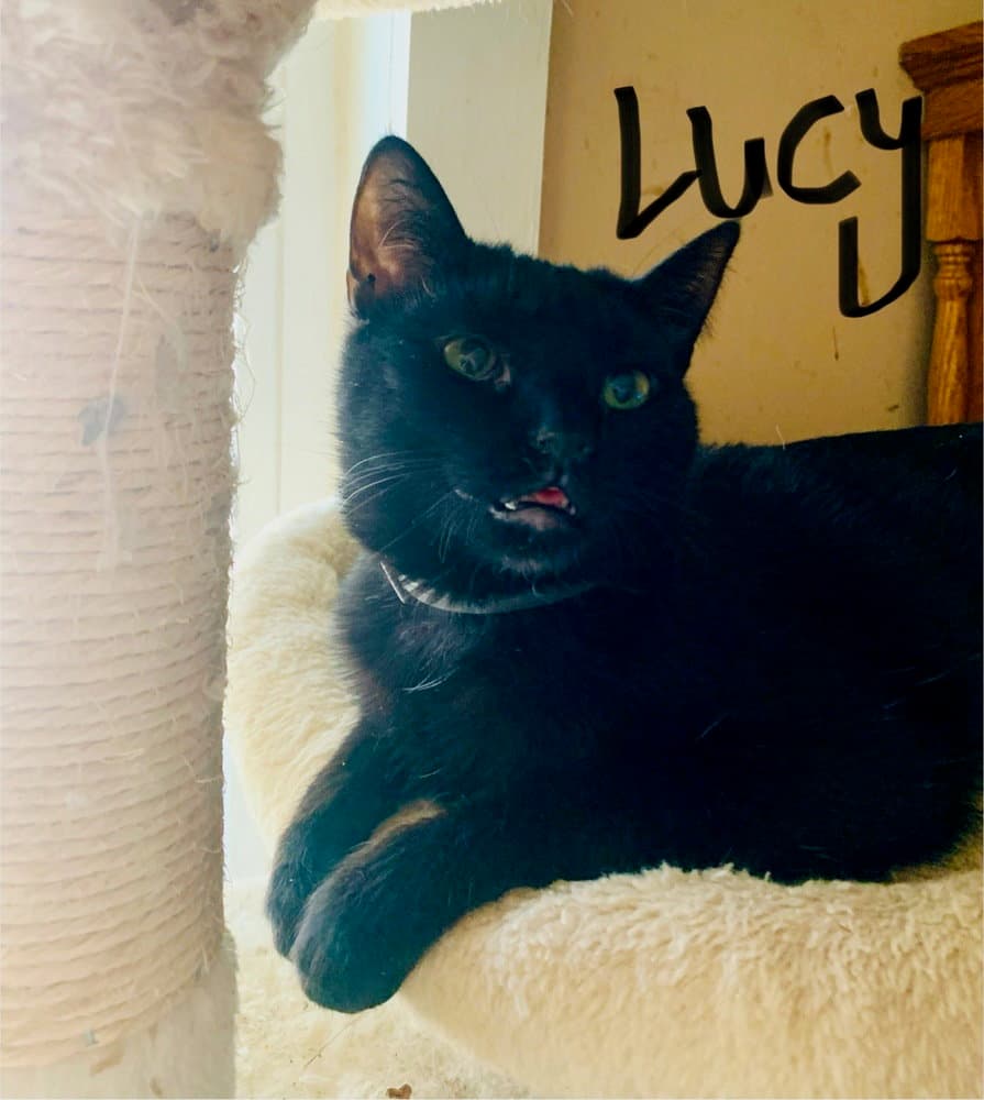 Lucy