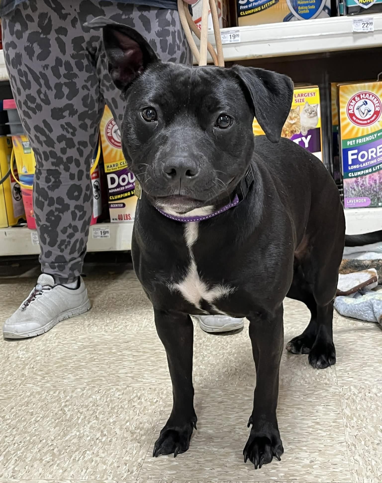 Pru (special needs)