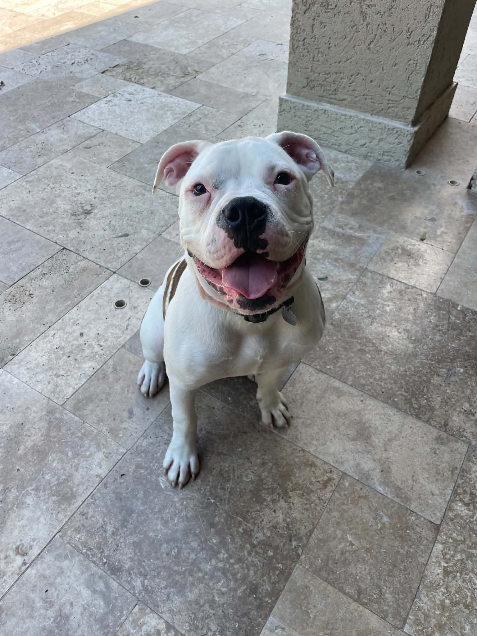 Axel