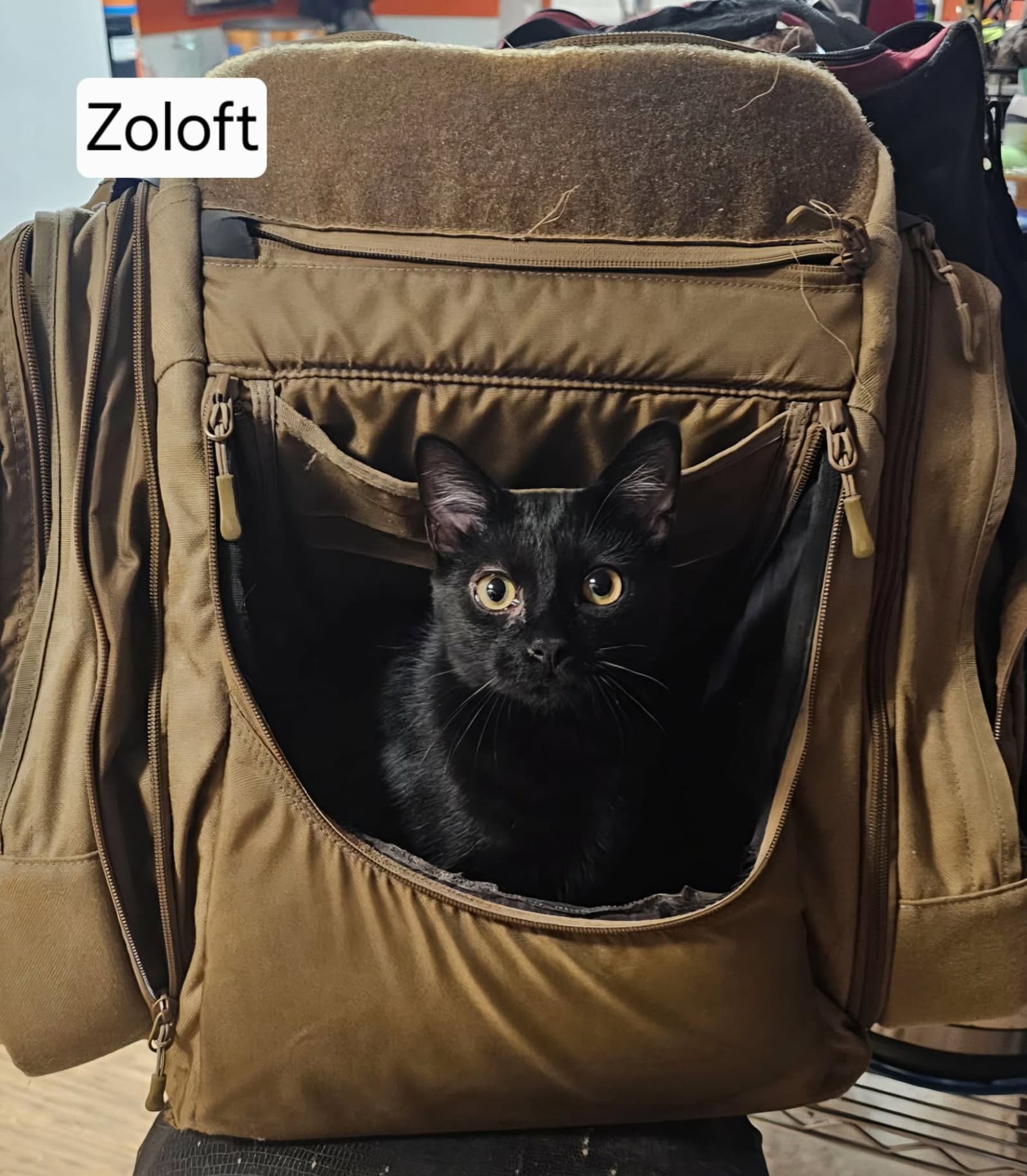 Zoloft
