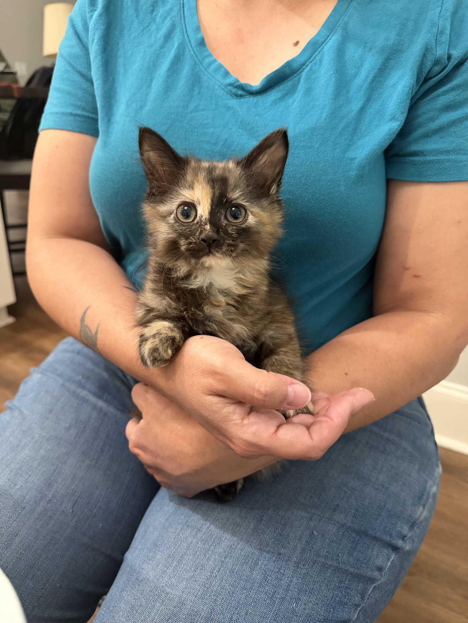 Tia (Available for pre-adoption)