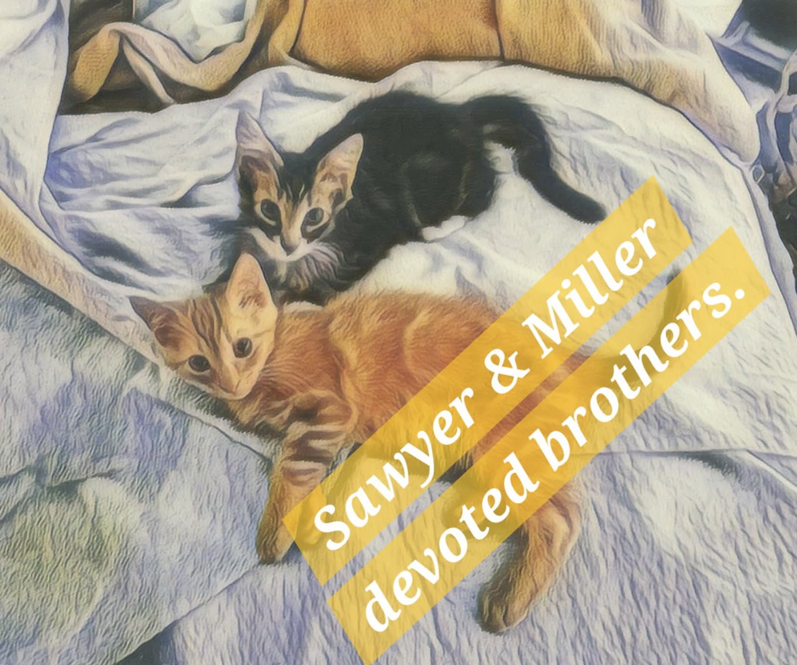 Sawyer