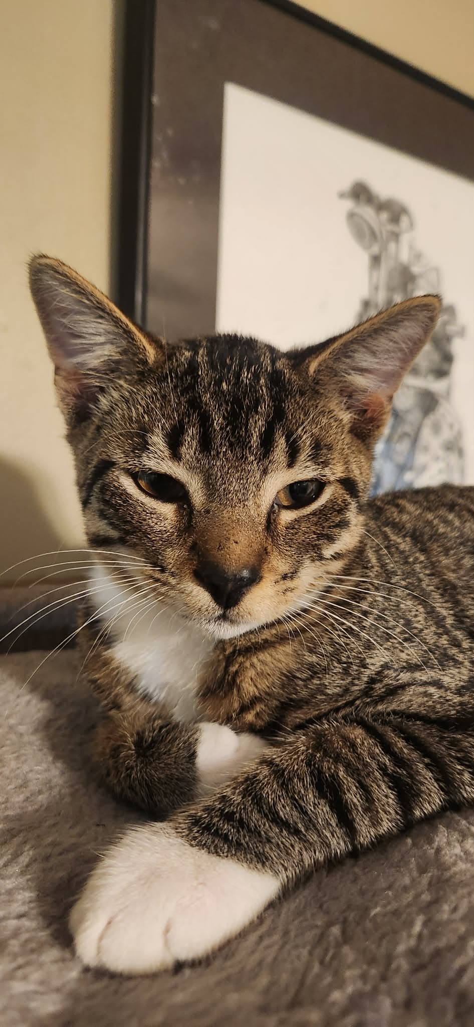 Stubbs