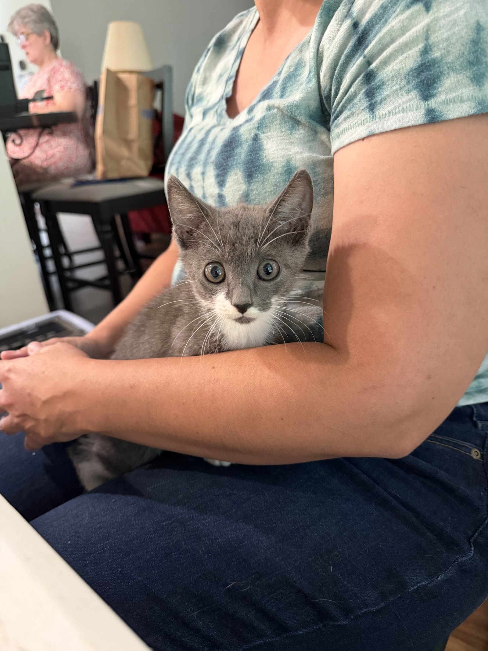 Zig Zag (Available for pre-adoption)