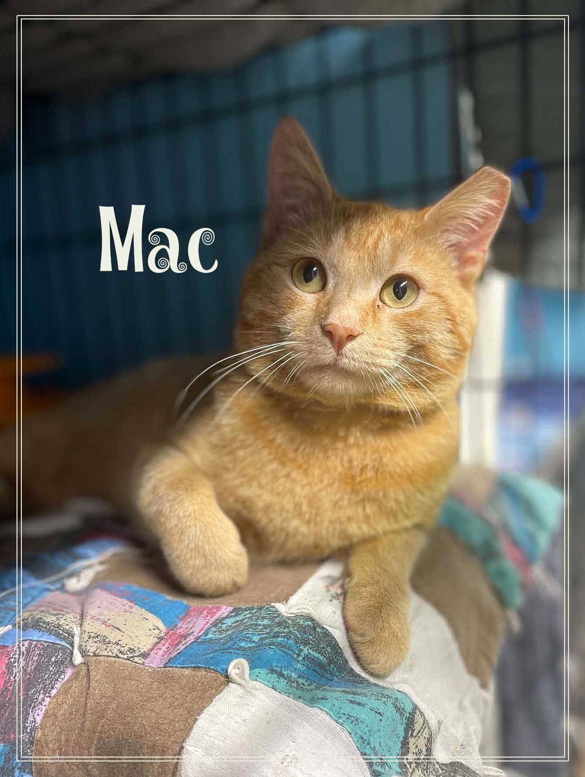 Mac