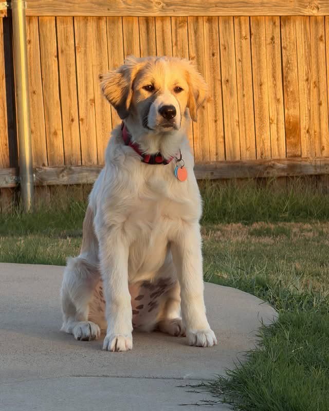 Eloise