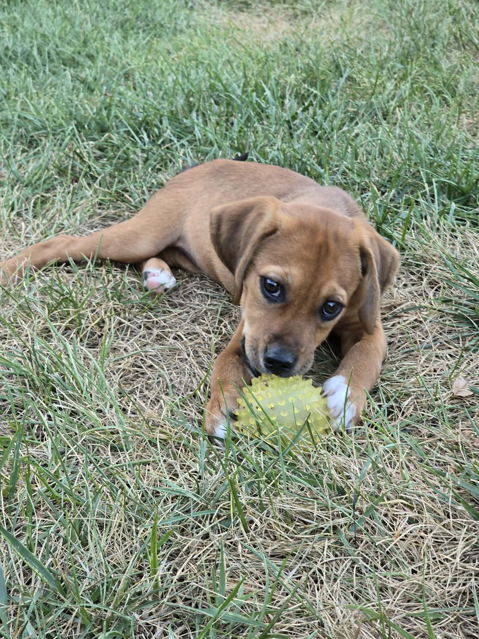 Winnie